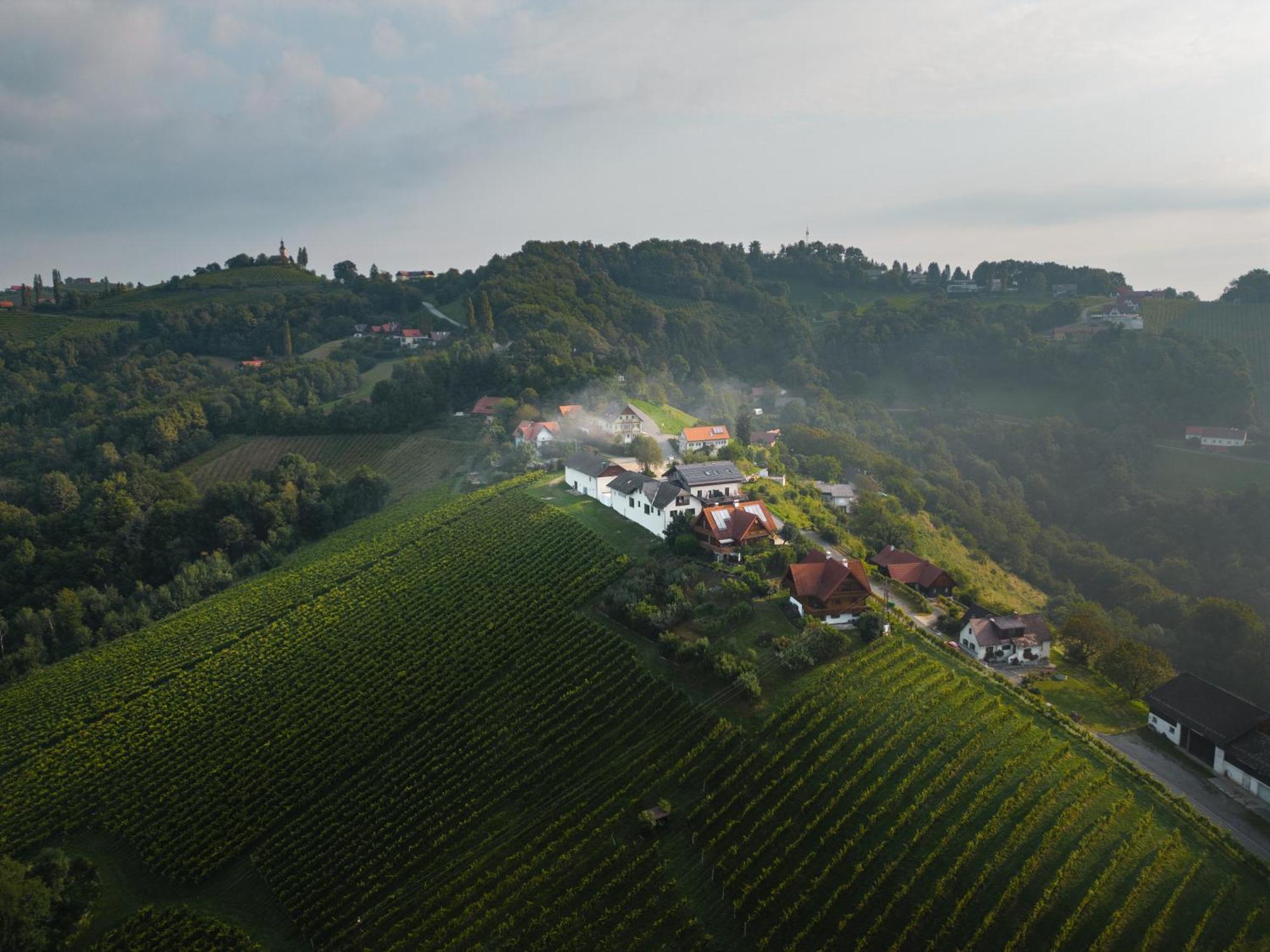 Gasthof 111 Weinkitz Kitzeck im Sausal